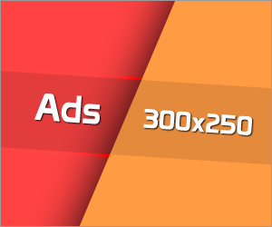 300*250